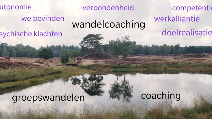 wandelcoaching.jpg