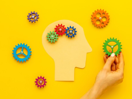 Paper head with brain of gears and cogs. Mental works concept.