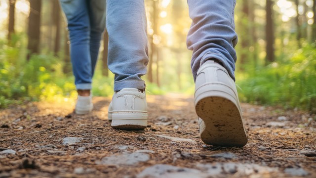 Noloc Academie Live Bijeenkomst Wandelcoaching