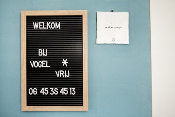 Vervest