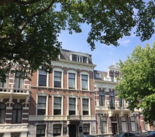 Ruijgrok