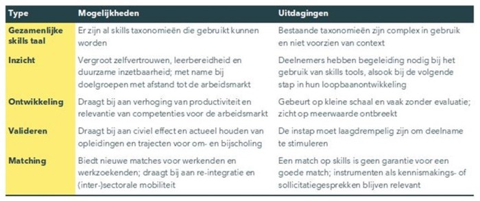 Overzicht voor- en nadelen skills aanpak